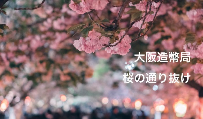 桜の通り抜け 造幣局桜の通り抜け2025 ライトアップ Japan Mint 