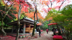 紅葉シーズンは超広角レンズが役立つ！