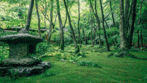 Photo Journal | Vol.12 -京都 嵐山 – #RX100M4