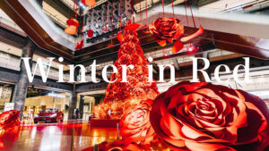 2017年 グランフロント大阪の「真っ赤なクリスマスツリー」| Photo Journal Vol.36