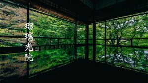 人気の京都 瑠璃光院 夜の特別拝観 ツアー「青もみじのライトアップ」