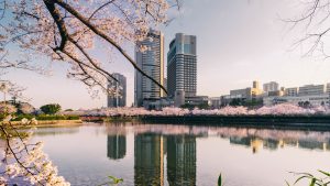 【大阪の桜の名所】 桜ノ宮の桜 2018年｜Photo Journal Vol.54