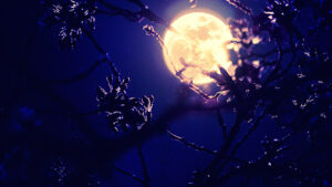 2015年4月4日『皆既月食』お花見と月食を綺麗に残そう！撮影方法も紹介