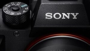 SONYのフルサイズミラーレス一眼「α7RII」の高速AFテストとサンプル写真