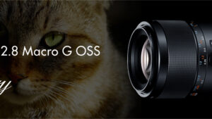 【待望のマクロレンズ】SONY「FE 90mm F2.8 Macro G OSS」を6月26日に発売　