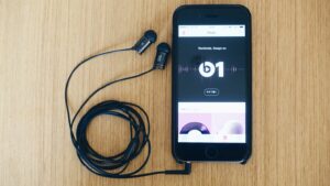 3000円台のコスパの高いイヤフォン。ZERO AUDIO「CARBO BASSO / ZH-DX210-CB」を購入しました。