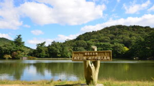 本日の動画と写真 2014.10.07　神戸 再度公園｜Nikon D7000/SONY RX100M3/GoPro HERO3+