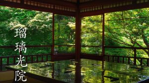 【2018年】京都「瑠璃光院」春の特別拝観で新緑の青もみじの美しさを実感